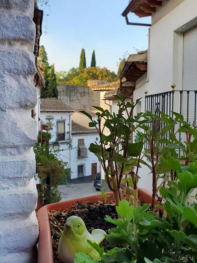 Villa Banos Del Agua Granada Exterior foto